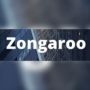 Zongaroo Magazine