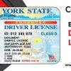 Buy Fake Drivers License